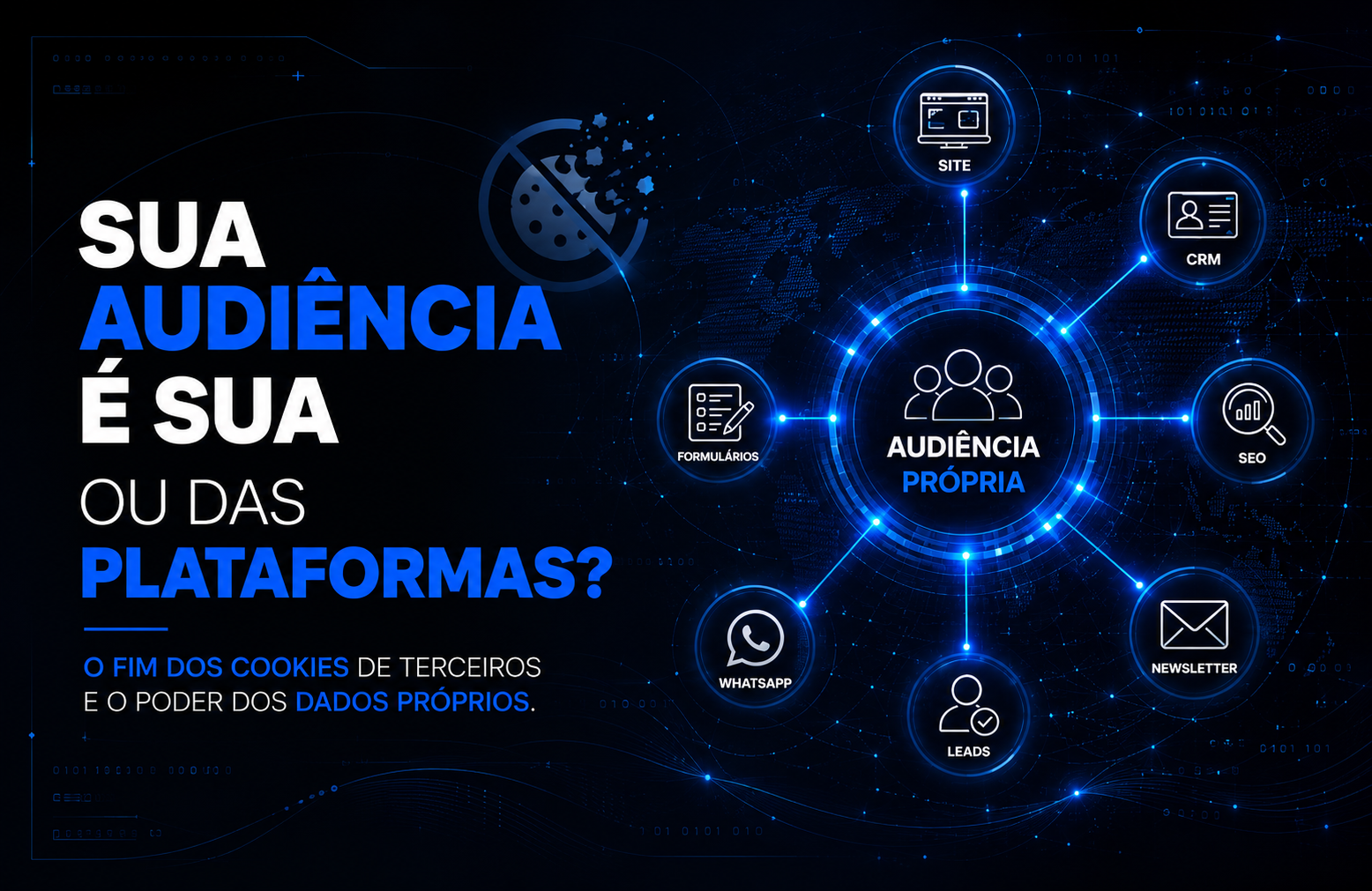 Fim dos cookies de terceiros: sua empresa está construindo uma audiência própria?